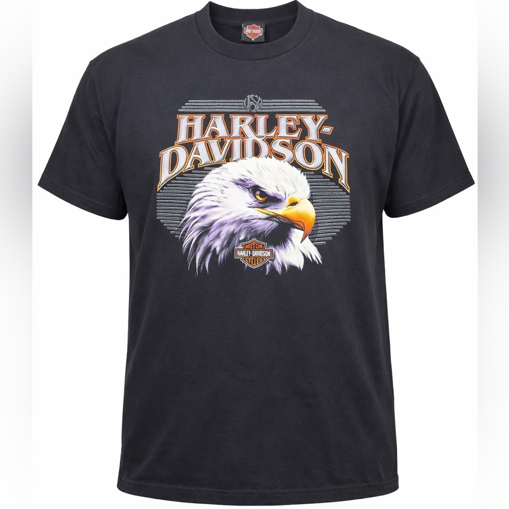 Vintage 2004 Harley Davidson Eagle T-Shirt XL Black Holoubek USA Biker Tee